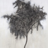 Calm Encaustic and graphite on panel 20