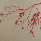 Resting Branches Encaustic, conte and graphic on panel 30
