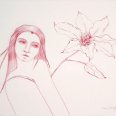 Glance (Lily with Leaf) Conte on vellum 25
